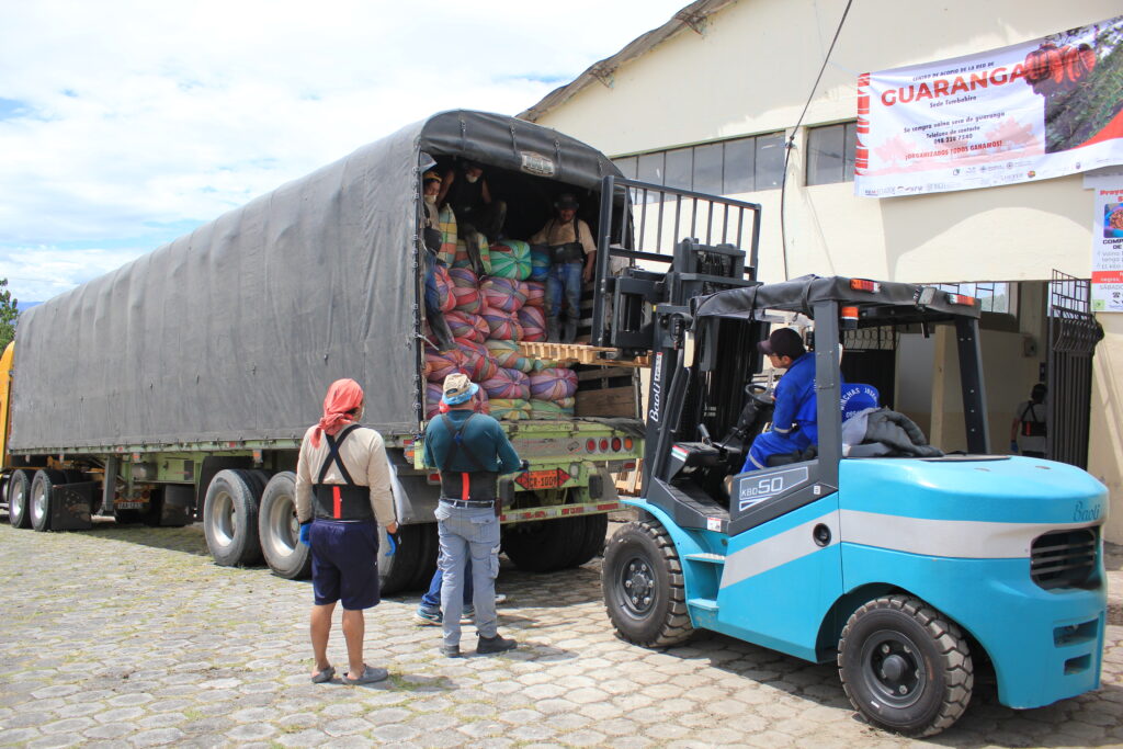 Exportación de guarango desde Carchi e Imbabura