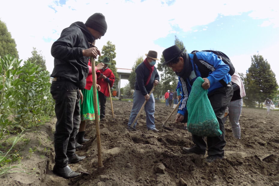 Huertos familiares Chimborazo