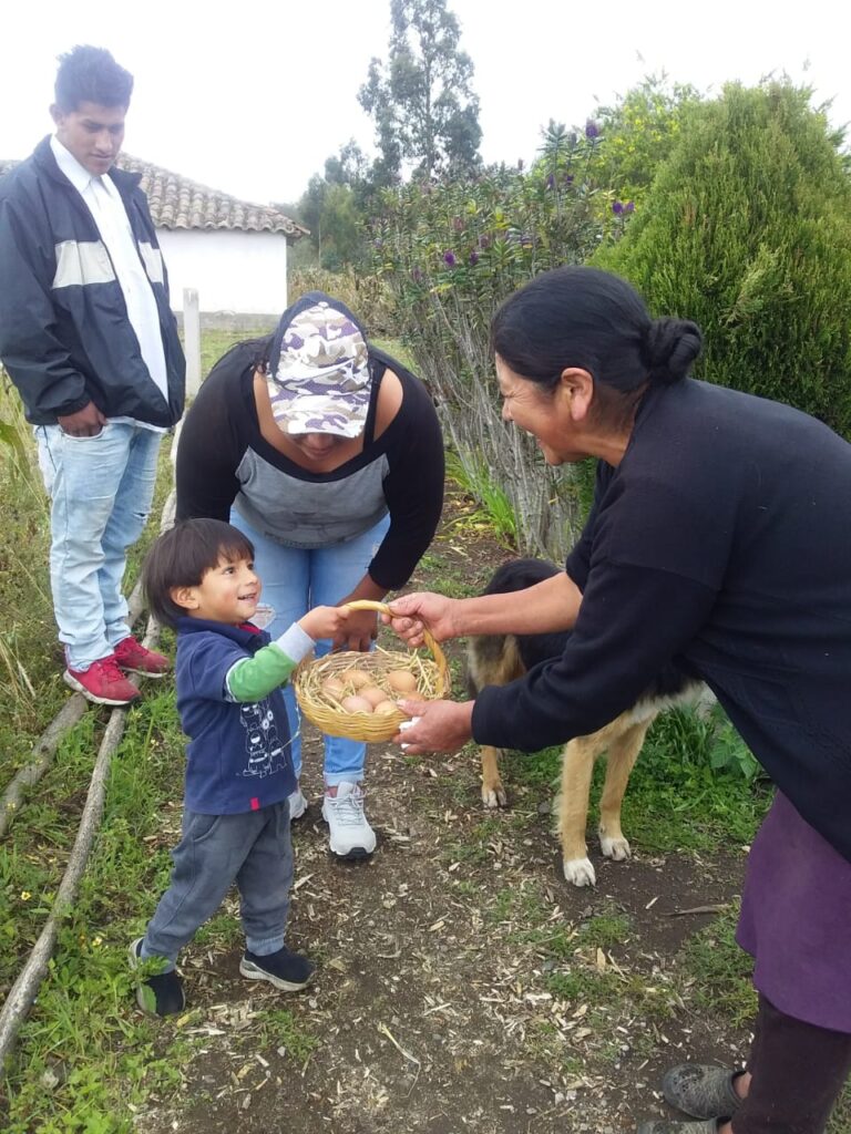 Desnutrición Crónica Infantil en Cotopaxi