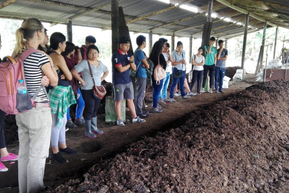 Eco Abono Puyo Cortesía GAD Pastaza