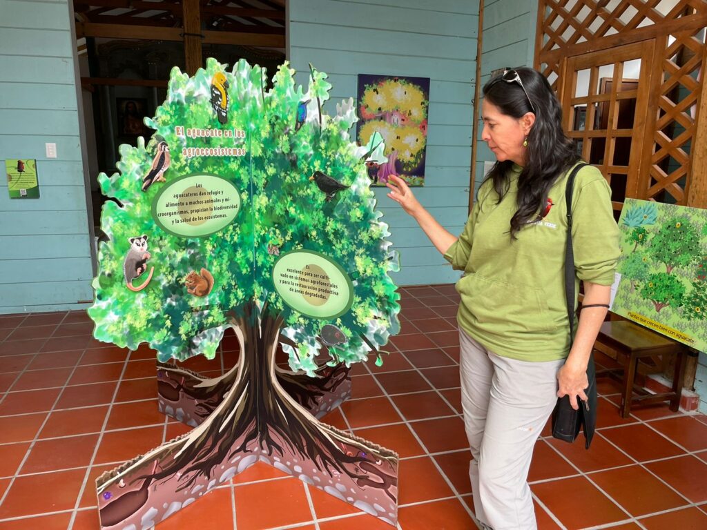 Museo del Aguacate en Puéllaro