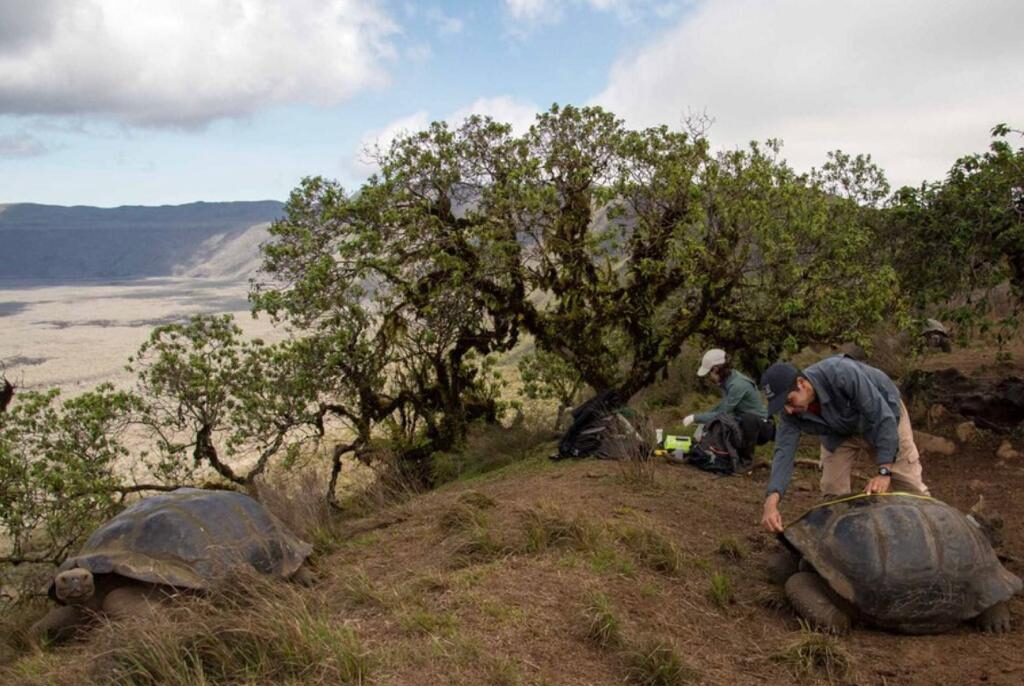 Galápagos y Fundación Charles Darwin