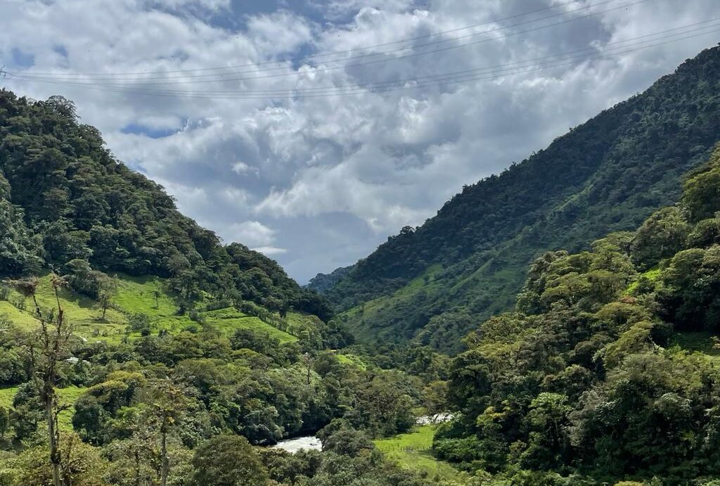 Bosques de la Amazonía Ecuatoriana