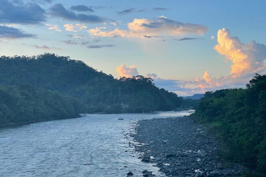 Amazonía y su biodiversidad