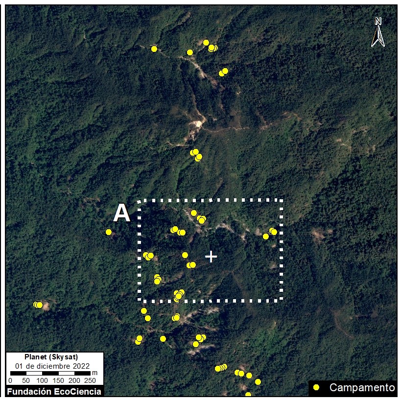 En el periodo de monitoreo se registraron 4.7 hectáreas afectadas en el caso Dos Camas. Foto_ Cortesía EcoCiencia