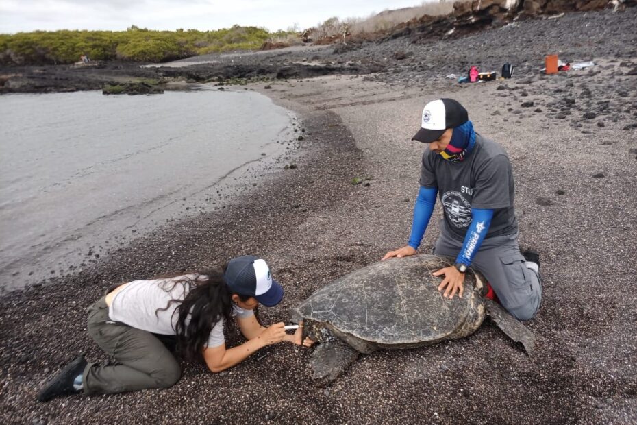 Entre el 11 y 26 de noviembre del 2022, un grupo de técnicos recorrió 14 islas. Foto: cortesía DPNG