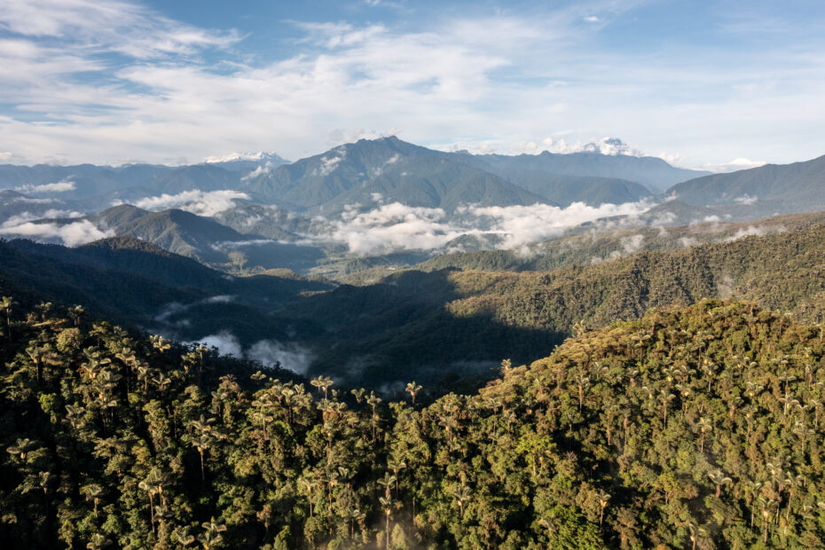 Corredor de Conectividad Llanganates-Sangay