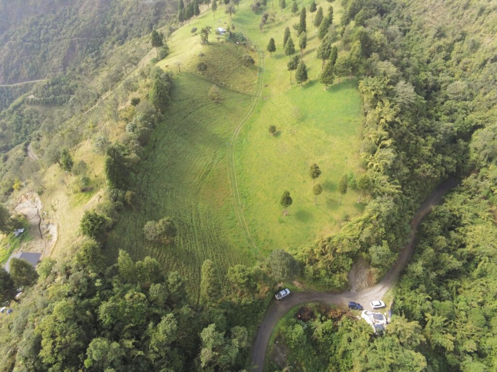 Pérdida de cobertura vegetal en Quito