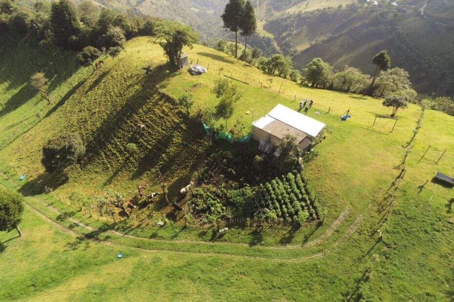 Pérdida de cobertura vegetal en Quito