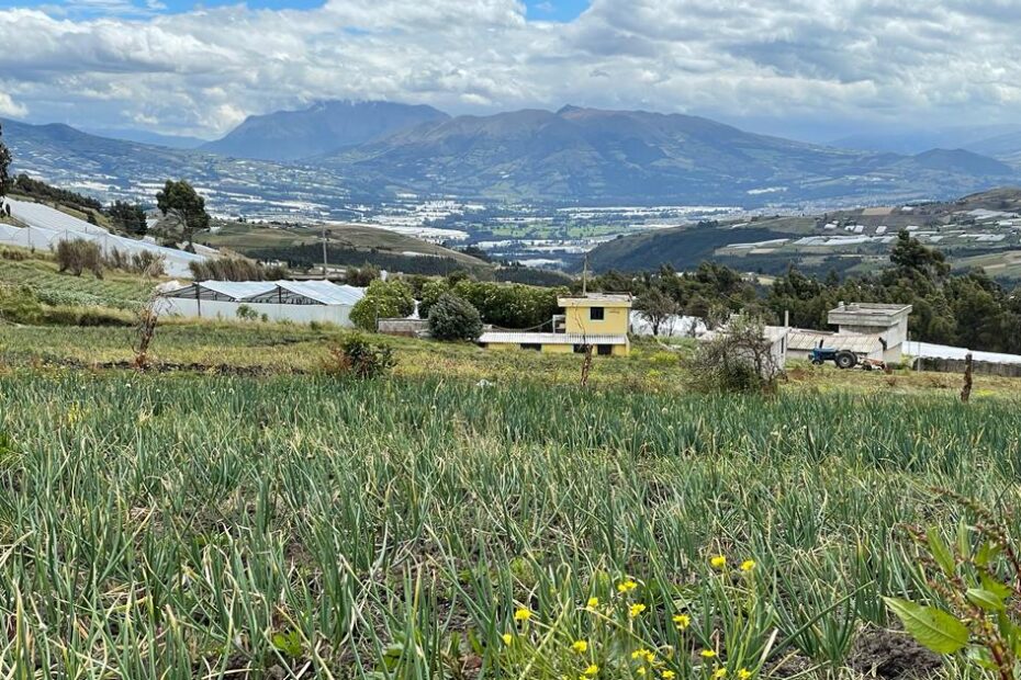 En la producción agrícola en Ecuador se medirá la emisión de Gases de Efecto Invernadero