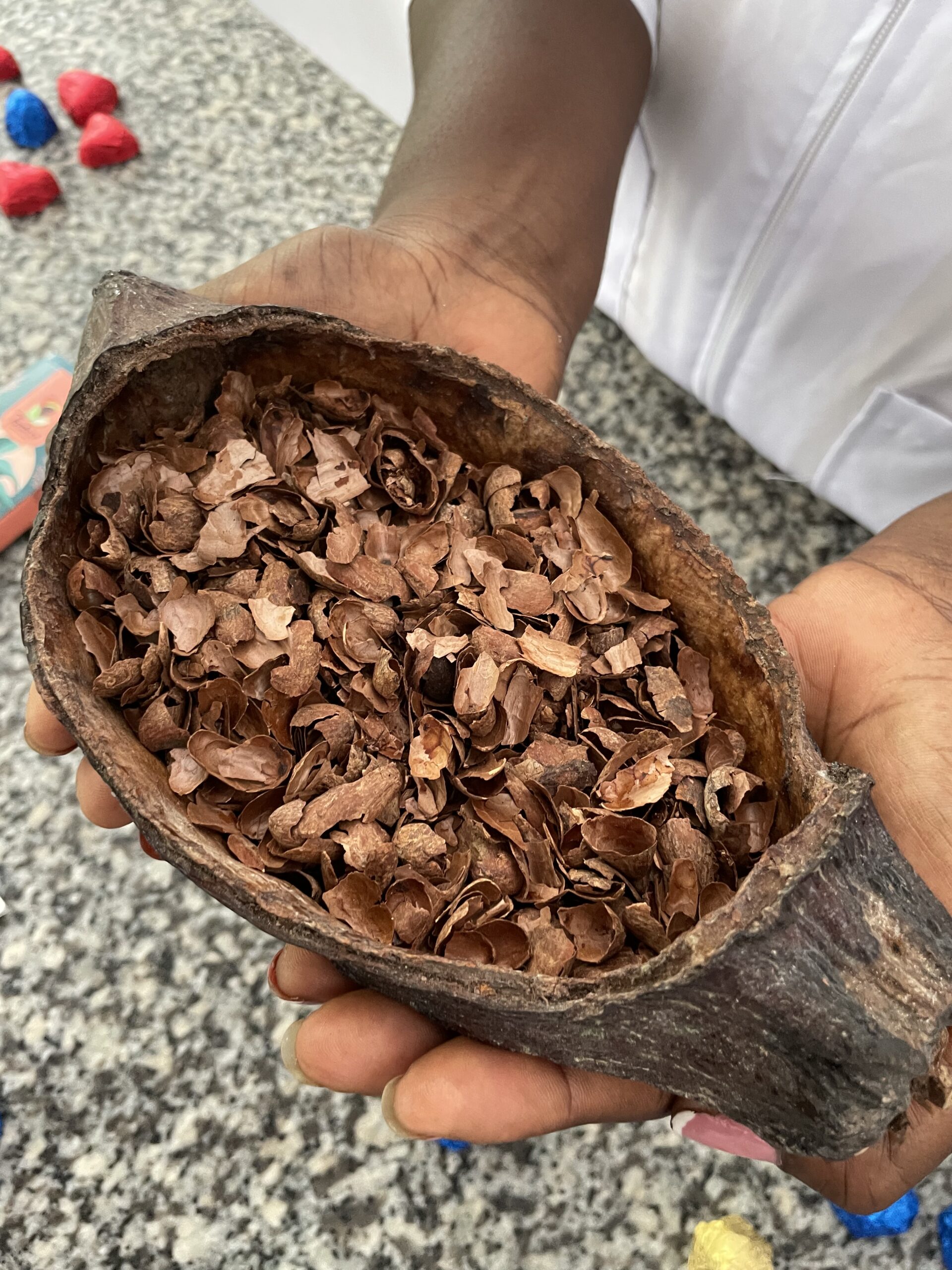 CÁSCARA DE CACAO (INSUMO PARA BIIOPLÁSTICO)