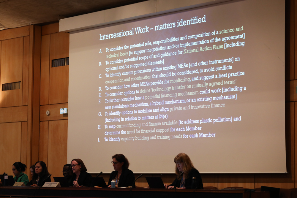 Segunda Sesión del Comité Intergubernamental de Negociación sobre Contaminación por Plásticos