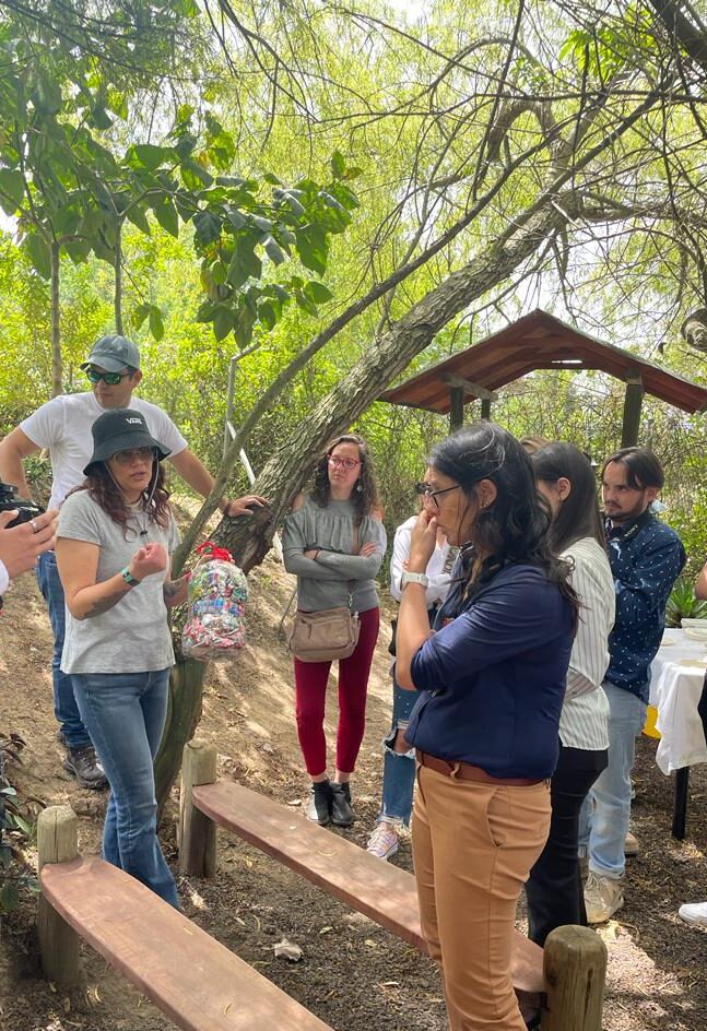 Iniciativa sostenible en el Liceo Campo Verde