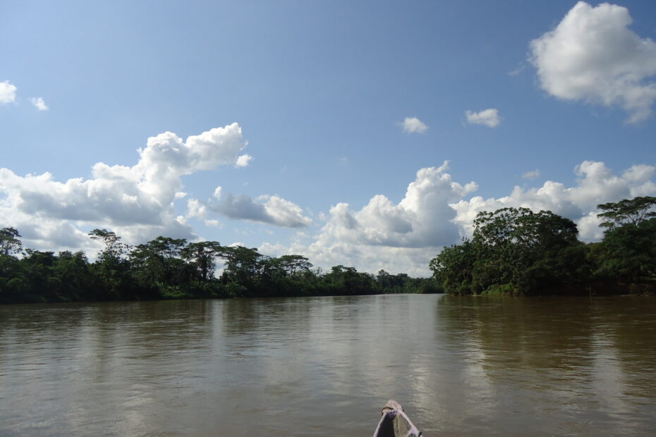 Parque Nacional Yasuní