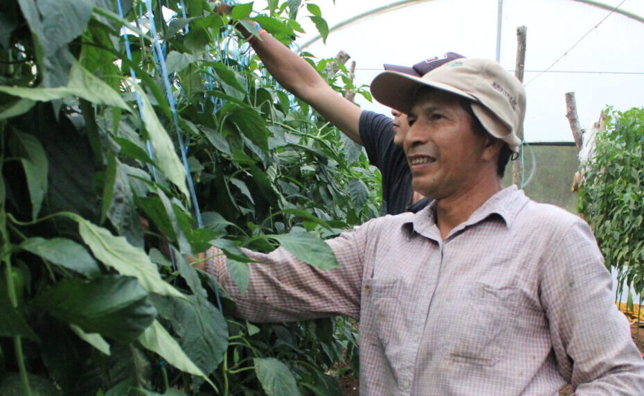 AGRICULTURA GALÁPAGOS 14