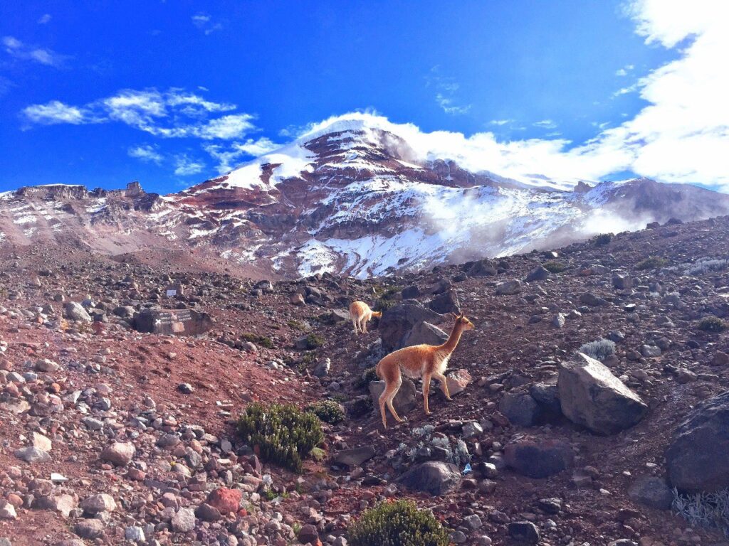 Cortesía Dirección de Turismo Riobamba