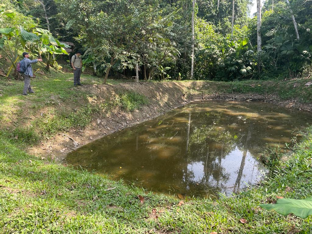 WCS apoya a la comunidad con el cultivo de peces nativos