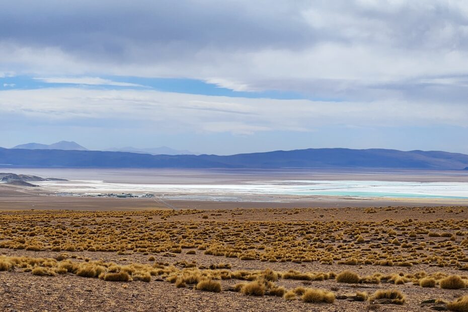 01 POSIBLE FOTO DE PORTADA SALAR DEL HOMBRE MUERTO - CREDITO ANALIA LLORENTE