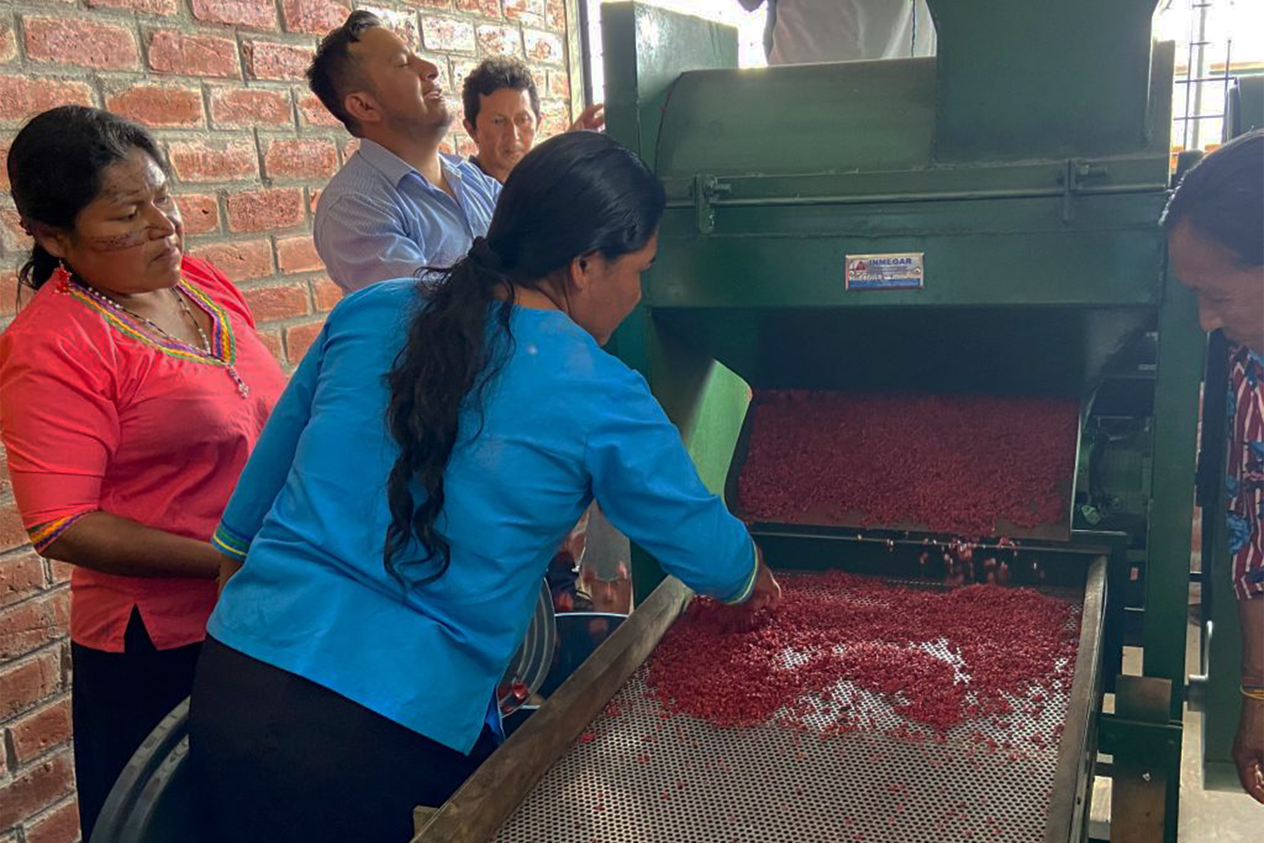 Al menos 18 mujeres de la comuna se encargan de descapullar, cocinar y moler el achiote para envasarlo y venderlo. Foto_ Cortesía Jessica Castro_MAG